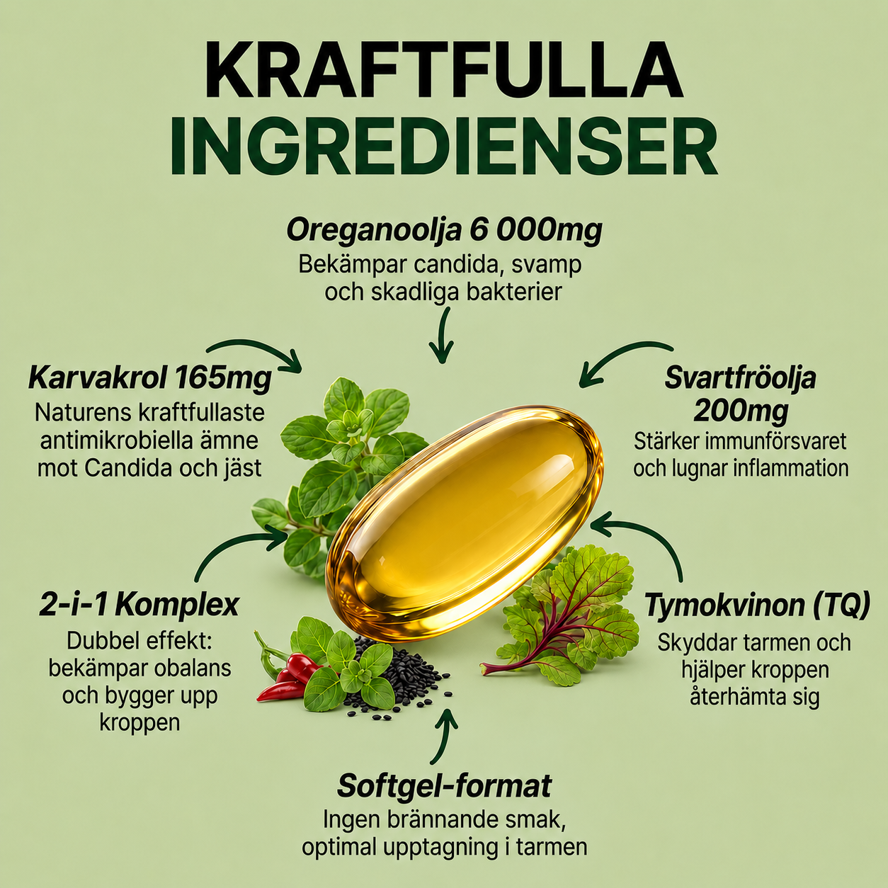 Oregano Olja - Mot Candida & Svamp