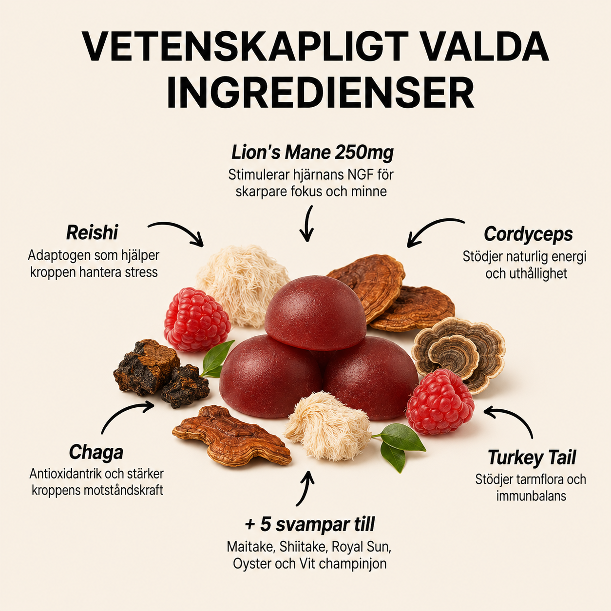 Daily Gummies – För Fokus & Mental Klarhet